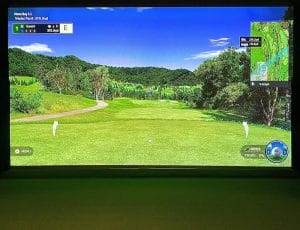 Indoor Golf Simulator in Tampa