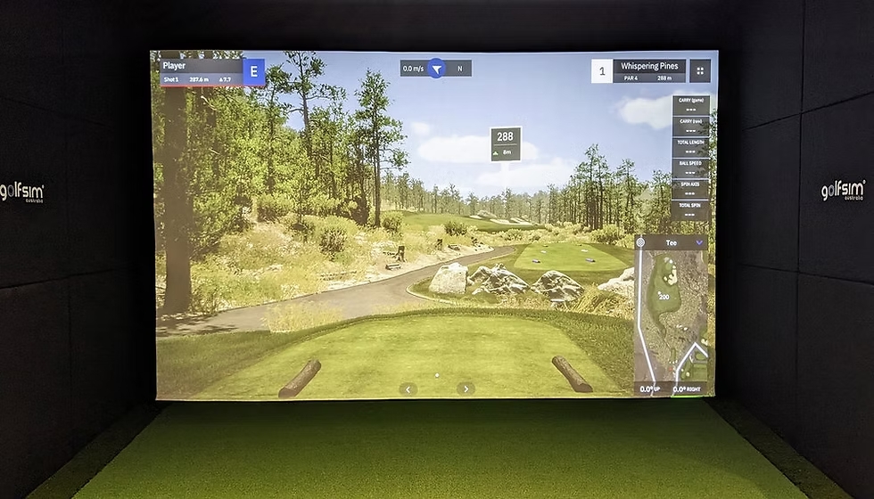 Indoor Golf Tampa Improve Your Game at 1UP Entertainment